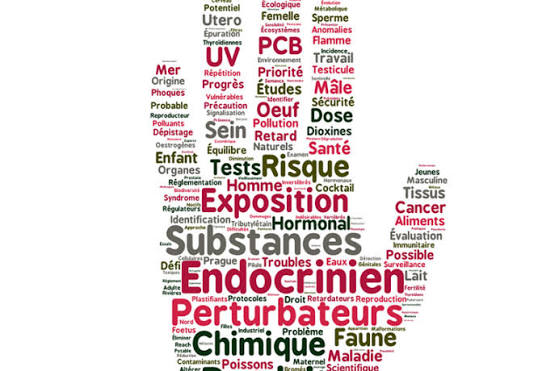 Les perturbateurs endocriniens